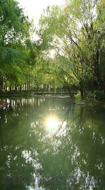 不卡人妻-尊重与界限，构建健康关系的关键——谈不卡人妻的深层含义
