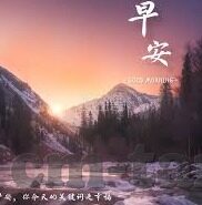 国产av麻豆精选-国产麻豆精选的魅力与价值探索
