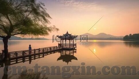 麻豆av无码精品一区二-探索现象的另一面，网络与伦理的交叉地带