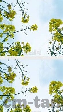 麻豆传媒原创视频在线-探索网络世界的多彩视界，麻豆传媒原创视频的魅力与影响