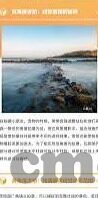 麻豆传媒 在线-麻豆传媒的在线魅影，从数字网络到生活万象的交汇点