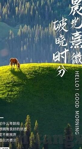 内地av麻豆-揭开迷雾，内地成人影视表演的多元化及其影响