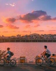 你好社区糖心vlog-激情探索，你好社区糖心Vlog的魅力之旅