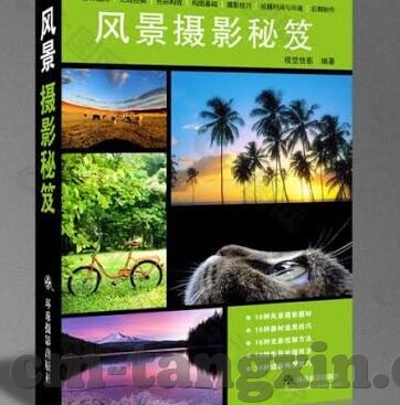 日韩在线中文字幕-探索日韩影视文化的独特魅力，在线中文字幕的桥梁作用