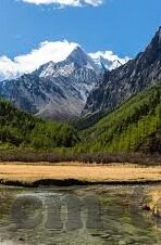 糖心app兑换码免费-探寻糖心APP的惊喜，免费兑换码的获取之旅