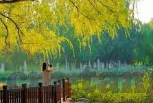 糖心v log官网怎么进-探索糖心v log官网的神秘门户，一键解锁创作与分享的乐园