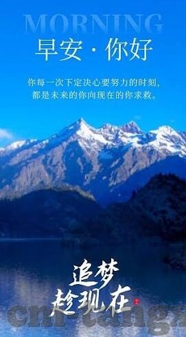 糖心影视app-揭秘糖心影视app，娱乐新风口下的内容与版权争议